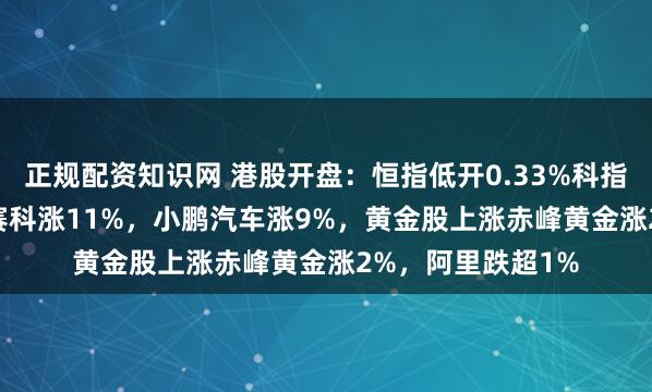正规配资知识网 港股开盘：恒指低开0.33%科指跌0.11%！英诺赛科涨11%，小鹏汽车涨9%，黄金股上涨赤峰黄金涨2%，阿里跌超1%